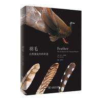 羽毛：自然演化中的奇迹