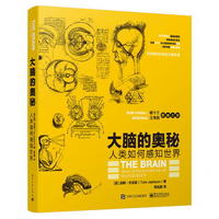 大脑的奥秘：人类如何感知世界