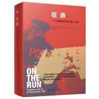 在逃：一个美国城市中的逃亡生活