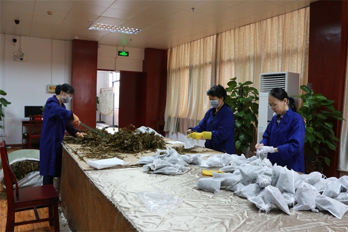 正在进行灵香草的切割和分装工作.jpg
