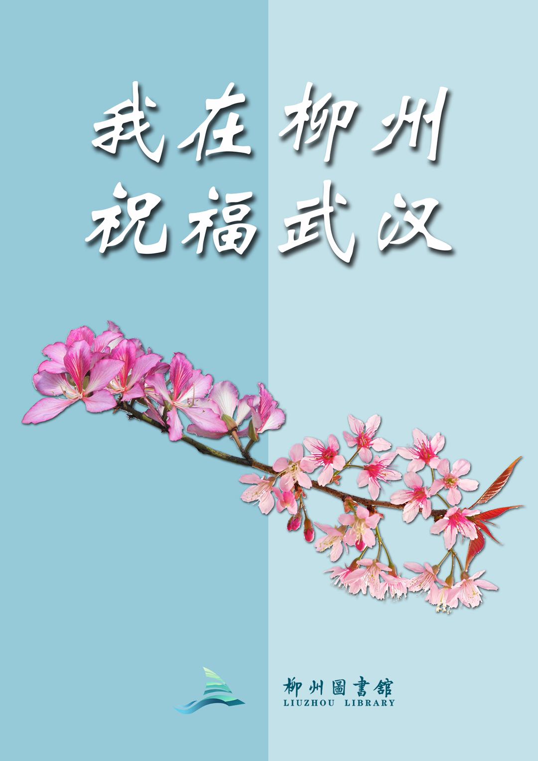 微信图片_20200302142602.jpg