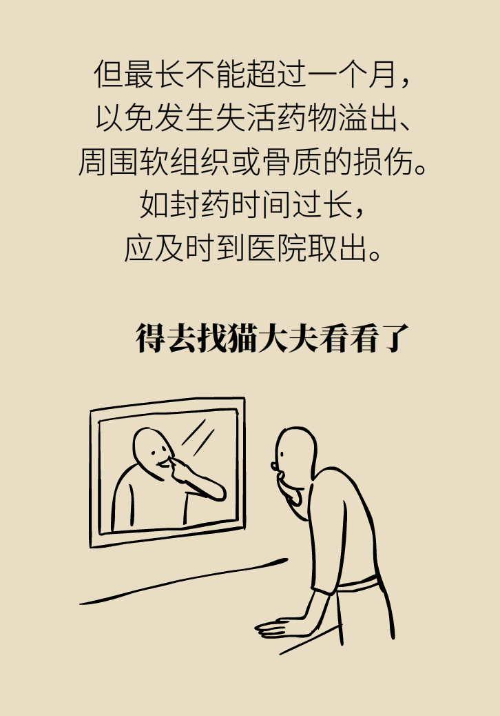 11.png