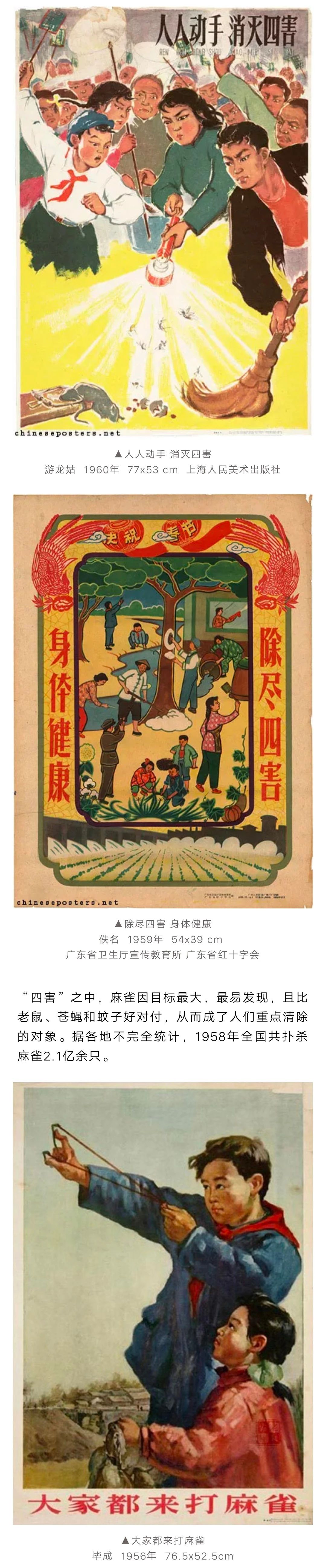 爱国卫生运动历史3.jpg