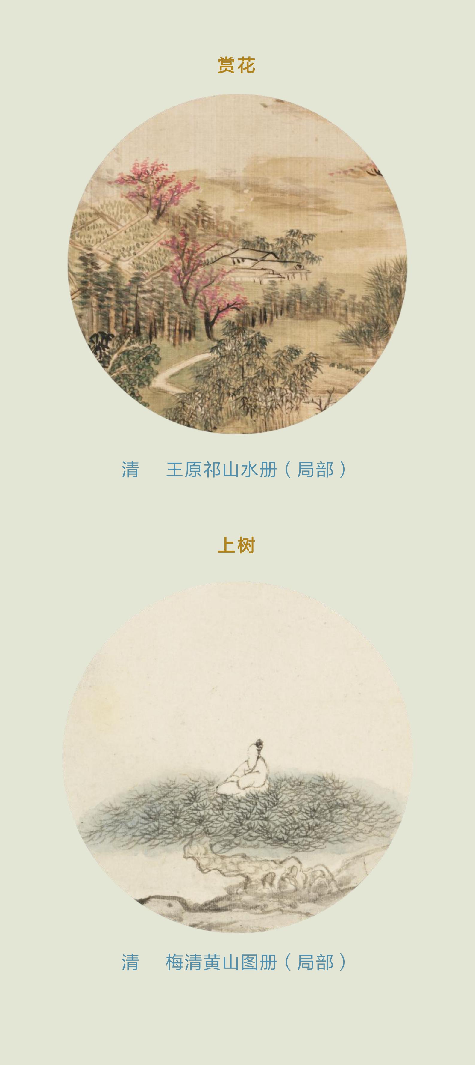 故宫茶_01.jpg