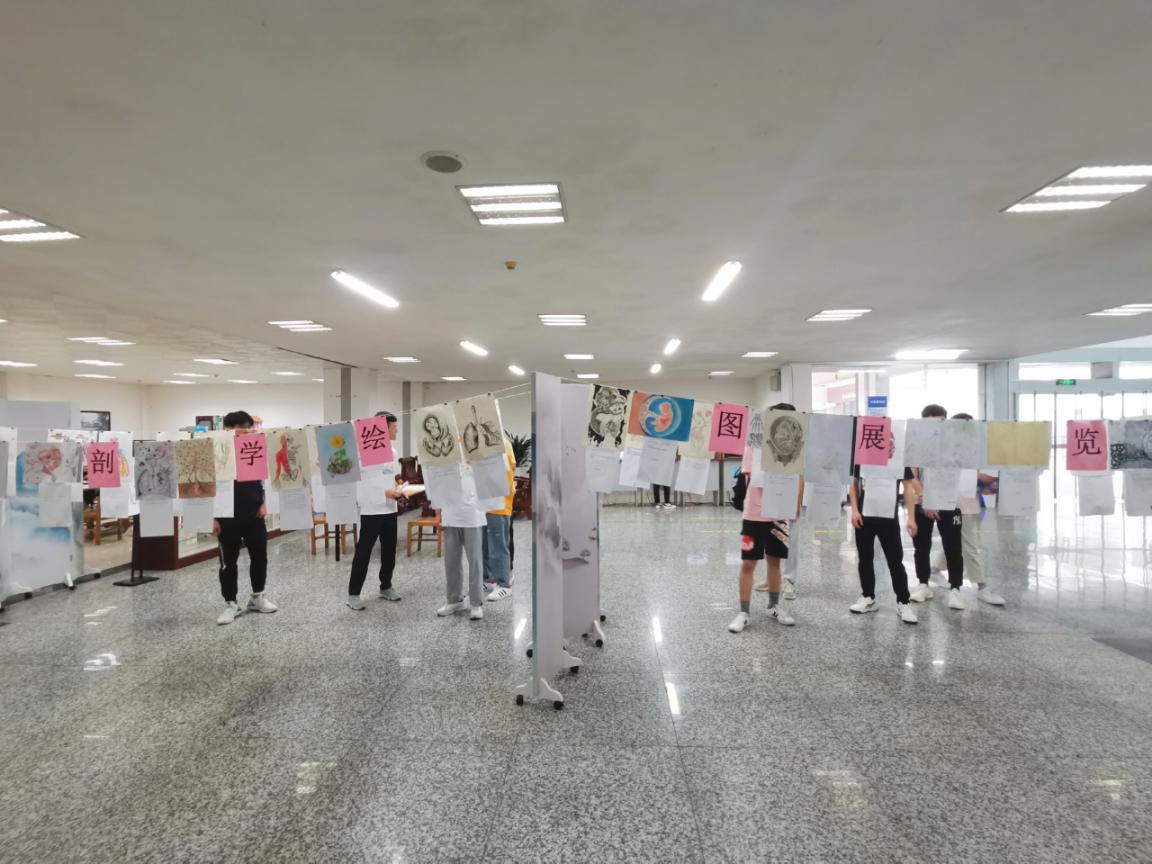 解剖学绘图展览.jpg