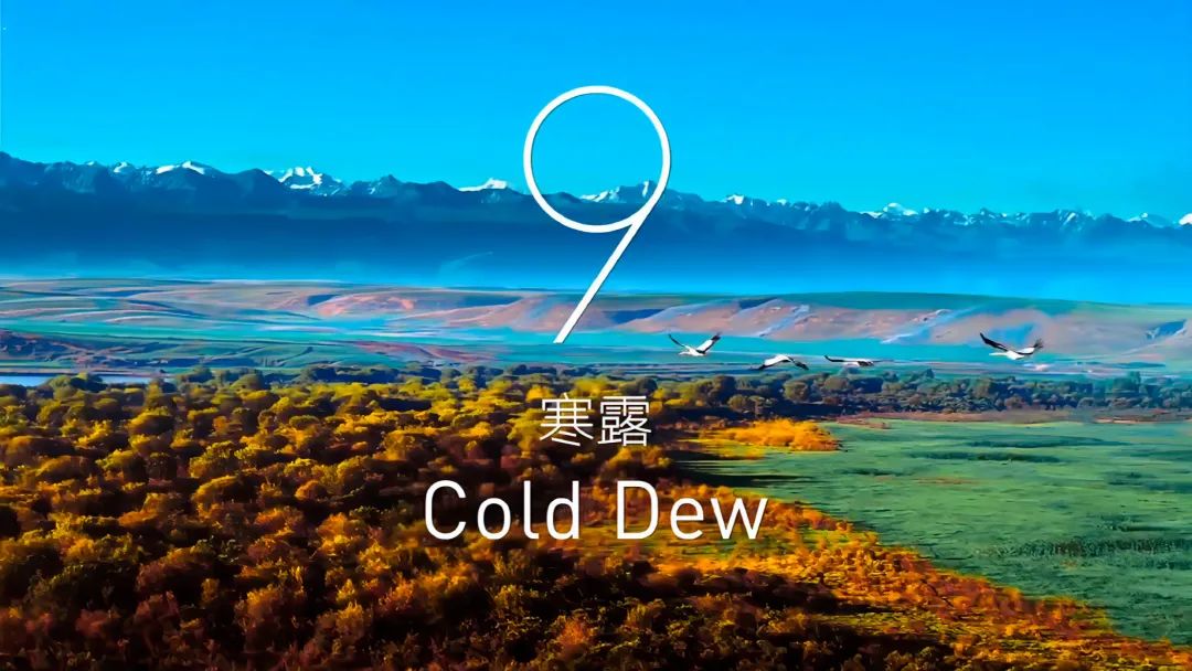 寒露.jpg