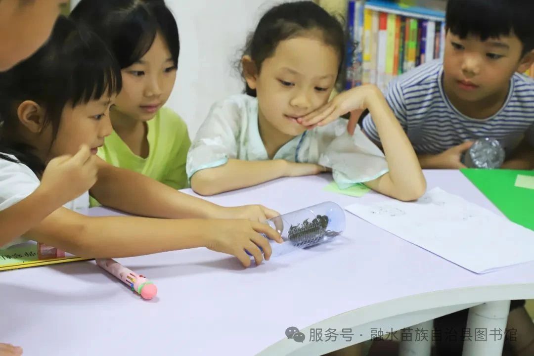 微信图片_20250813152008.jpg