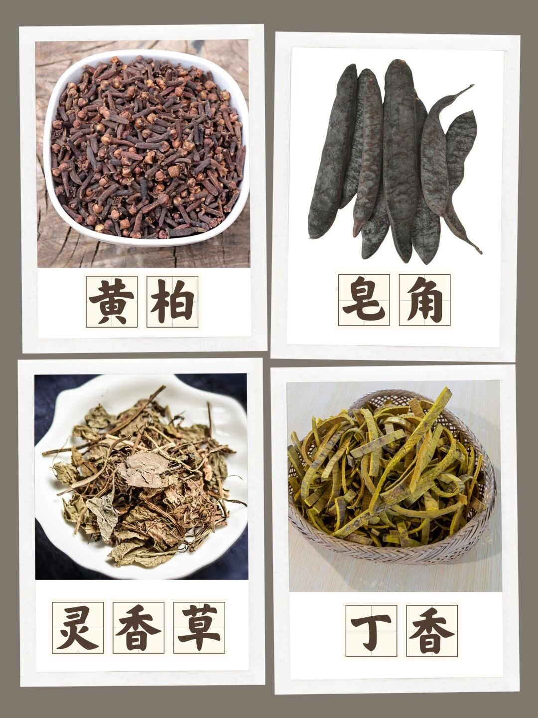 微信图片_2026-08-18_144131_576.jpg